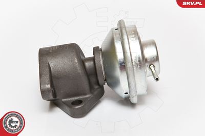Клапан возврата ОГ ESEN SKV 14SKV051