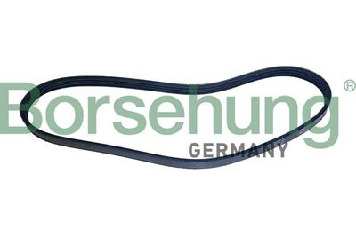 Поликлиновой ремень Borsehung B12500