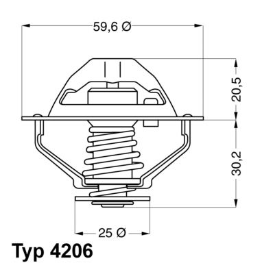 Termostats, Dzesēšanas šķidrums BorgWarner (Wahler) 4206.90D
