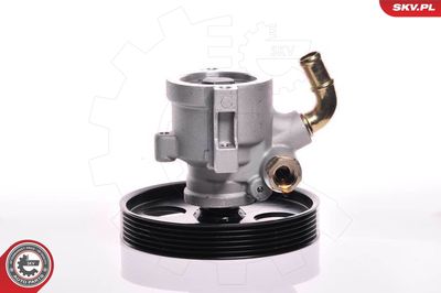 Гидравлический насос, рулевое управление ESEN SKV 10SKV155