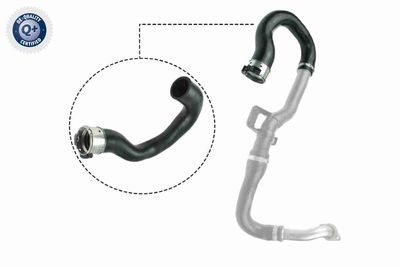 Трубка нагнетаемого воздуха VAICO V40-1516