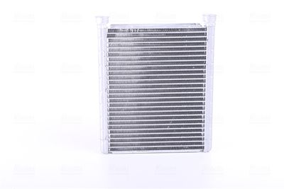 Siltummainis, Salona apsilde NISSENS 77643