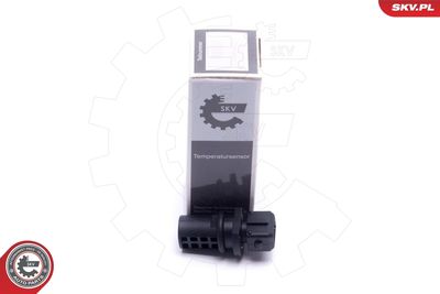 Devējs, Ieplūstošā gaisa temperatūra ESEN SKV 17SKV687