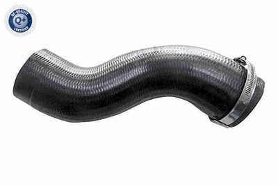 Pūtes sistēmas gaisa caurule VAICO V20-3495