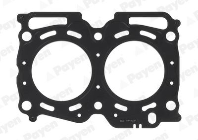 Blīve, Motora bloka galva PAYEN AG5580