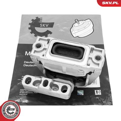 Piekare, Dzinējs ESEN SKV 75SKV293