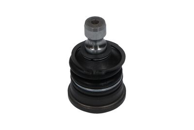 Balst-/Virzošais šarnīrs KAVO PARTS SBJ-7501