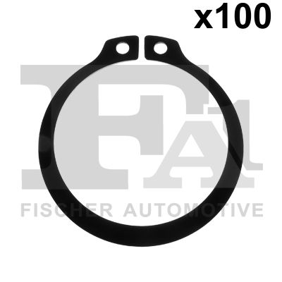 Уплотнительное кольцо FA1 743.520.100