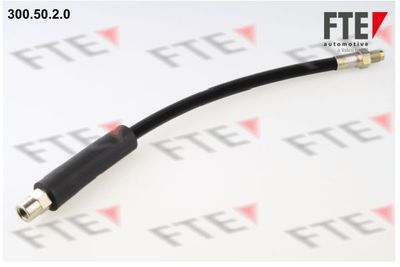 Тормозной шланг FTE 9240019