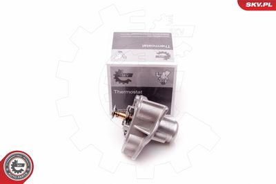 Termostats, Dzesēšanas šķidrums ESEN SKV 20SKV069