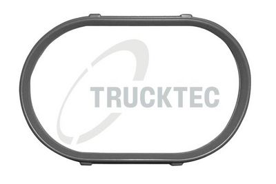 Прокладка, впускной коллектор TRUCKTEC AUTOMOTIVE 08.10.062