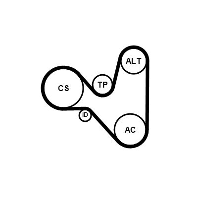 Ķīļrievu siksnu komplekts CONTINENTAL CTAM 6PK1120K4