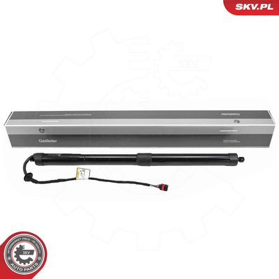 Электромотор, задняя дверь ESEN SKV 52SKV168