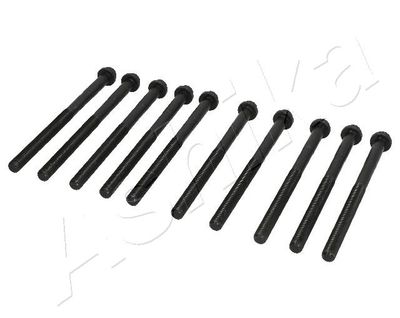 Комплект болтов головки цилидра ASHIKA 115-02-206