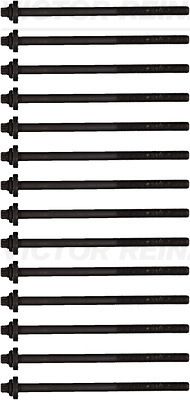 Комплект болтов головки цилидра VICTOR REINZ 14-32311-01