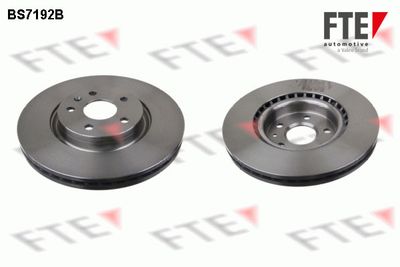 Тормозной диск FTE 9081089