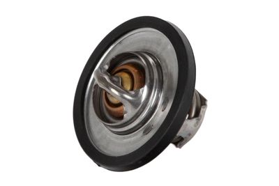 Termostats, Dzesēšanas šķidrums CONTINENTAL 28020040032