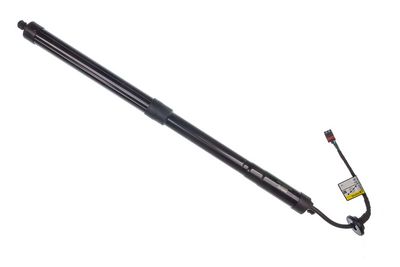 Электромотор, задняя дверь DENCKERMANN G100055