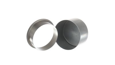 Čaula SKF 99193