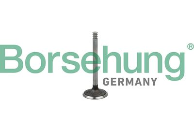 Впускной клапан BORSEHUNG B18998