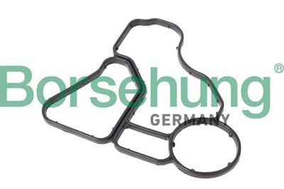 Blīve, Eļļas filtra korpuss Borsehung B12510