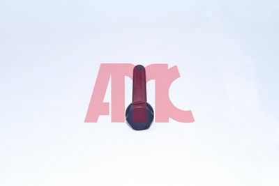 Комплект болтов головки цилидра AMC 258007
