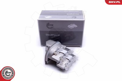 Устройство управления, освещение ESEN SKV 59SKV110