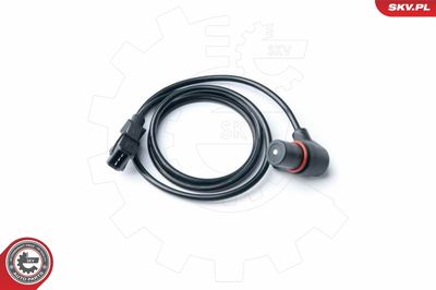 Датчик импульсов ESEN SKV 17SKV313