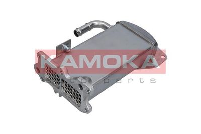 Радиатор, рециркуляция ОГ KAMOKA 19C067