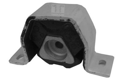Подвеска, двигатель TEDGUM 00212975