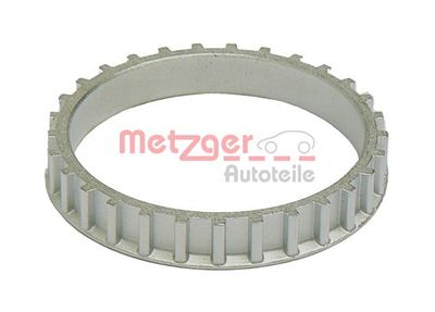  METZGER 0900260