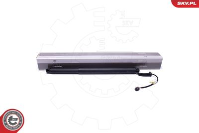 Электромотор, задняя дверь ESEN SKV 52SKV913