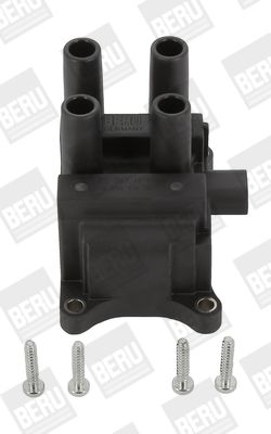 Катушка зажигания BorgWarner (BERU) ZS387