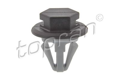 Moldings/aizsarguzlika TOPRAN 702 379