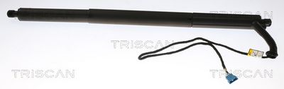 Газовая пружина, крышка багажник TRISCAN 8710 11306