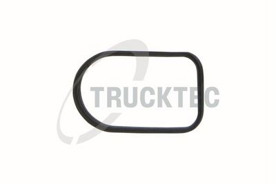 Прокладка, впускной коллектор TRUCKTEC AUTOMOTIVE 02.16.051