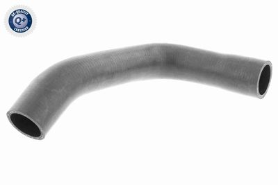 Radiatora cauruļvads VAICO V40-1163