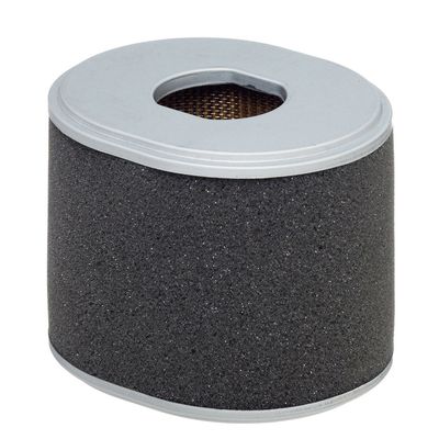Gaisa filtrs HENGST FILTER E1498L