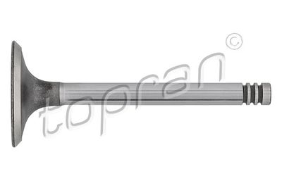 Впускной клапан TOPRAN 100671