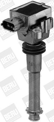 Катушка зажигания BorgWarner (BERU) ZS311