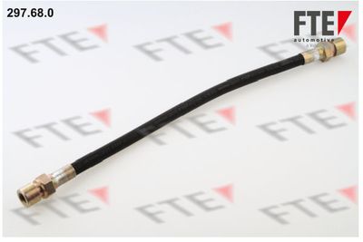 Тормозной шланг FTE 9240144