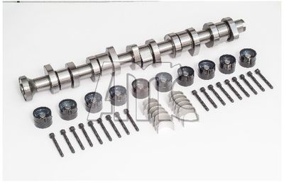 Sadales vārpstas komplekts AMC 668881K