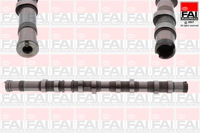 Распредвал FAI AUTOPARTS C371