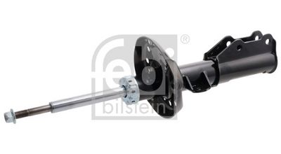 Amortizators FEBI BILSTEIN 1002852