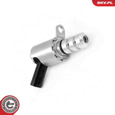 Регулирующий клапан, выставление распределительного вала ESEN SKV 39SKV107