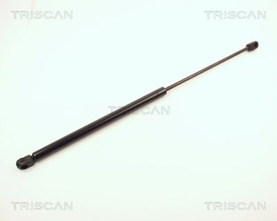 Gāzes atspere, Bagāžas/Kravas nodalījuma vāks TRISCAN 87102410