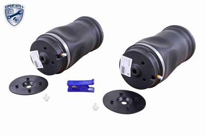 Pneimoatspere, Balstiekārta VEMO V30-50-20008