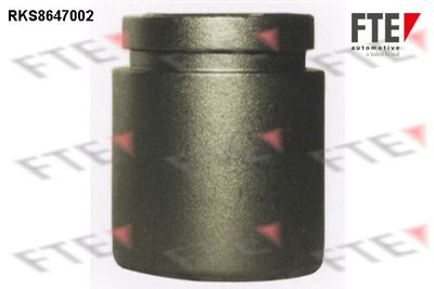 Поршень, корпус скобы тормоза FTE 9313427