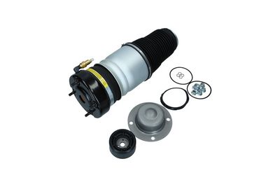 Pneimoatspere, Balstiekārta KAMOKA 2079001