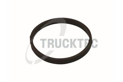 Blīve, Ieplūdes kolektora korpuss TRUCKTEC AUTOMOTIVE 02.14.175